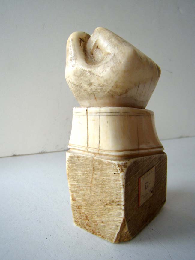 A fine and RARE carved Whale Tooth Paperweight in the form of a fist with cuff circa 1850 — image 4